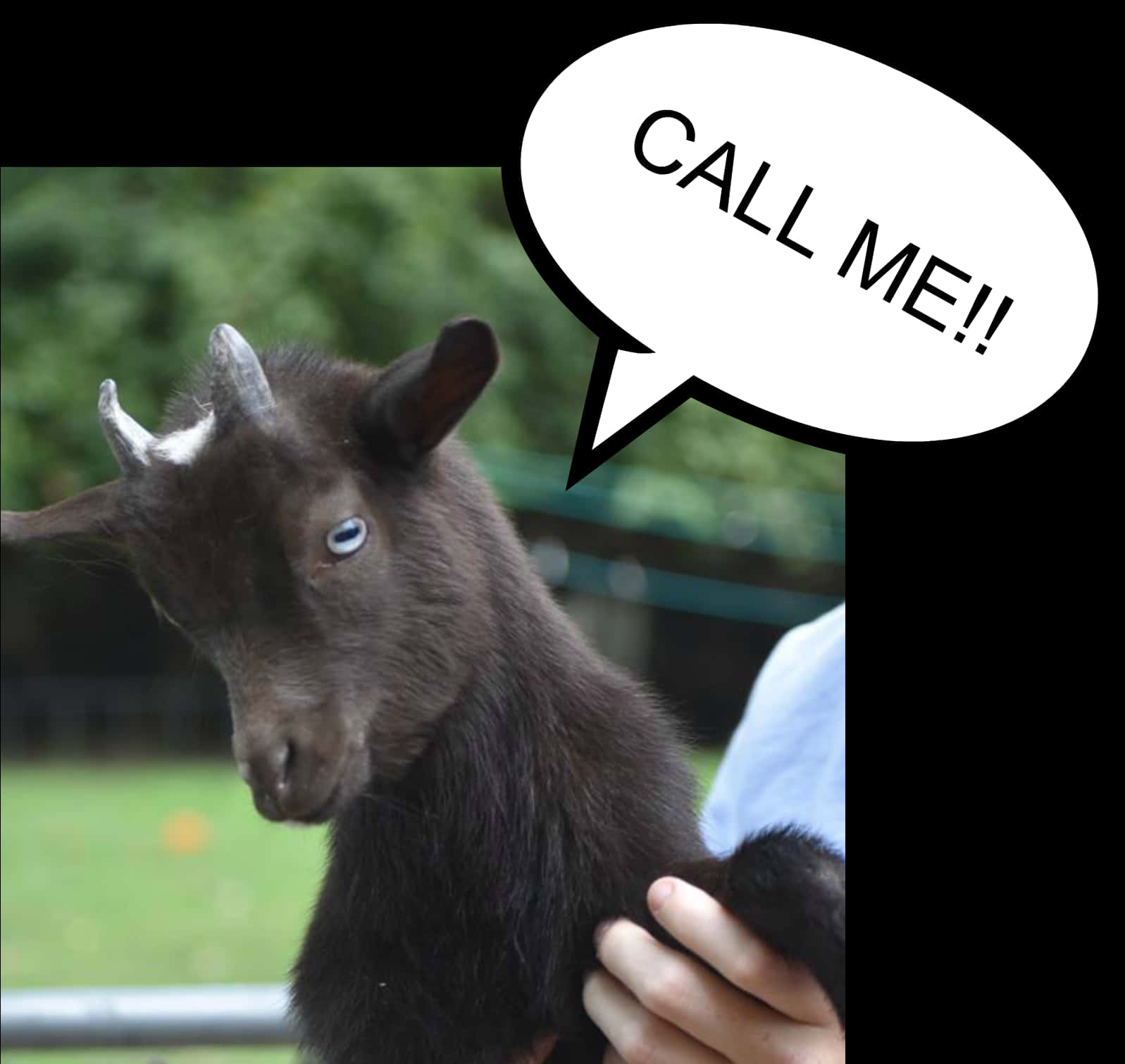 Funny Goat With Call Me Speech Bubble PNG Image