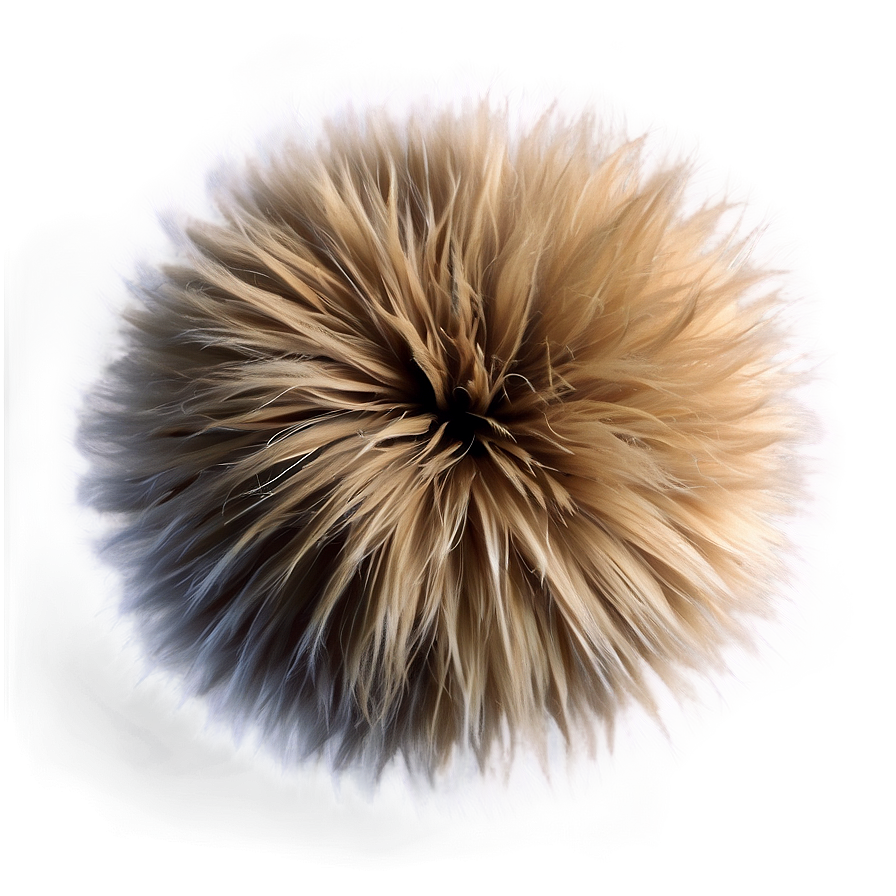 Furry Texture Png 06272024 PNG Image