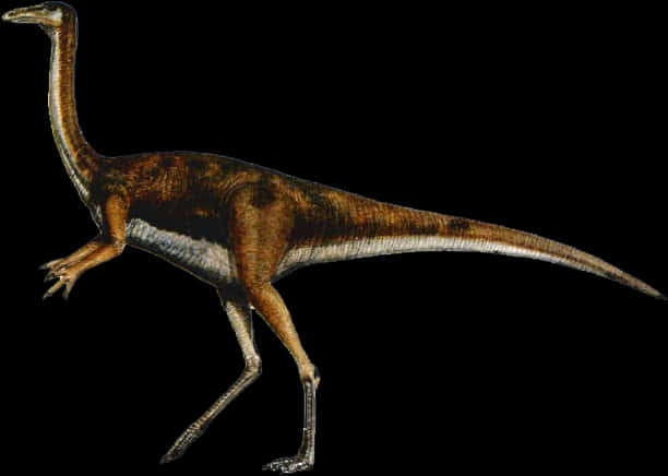 Gallimimus Dinosaur Illustration PNG Image