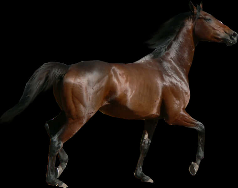 Galloping Bay Horse Black Background PNG Image