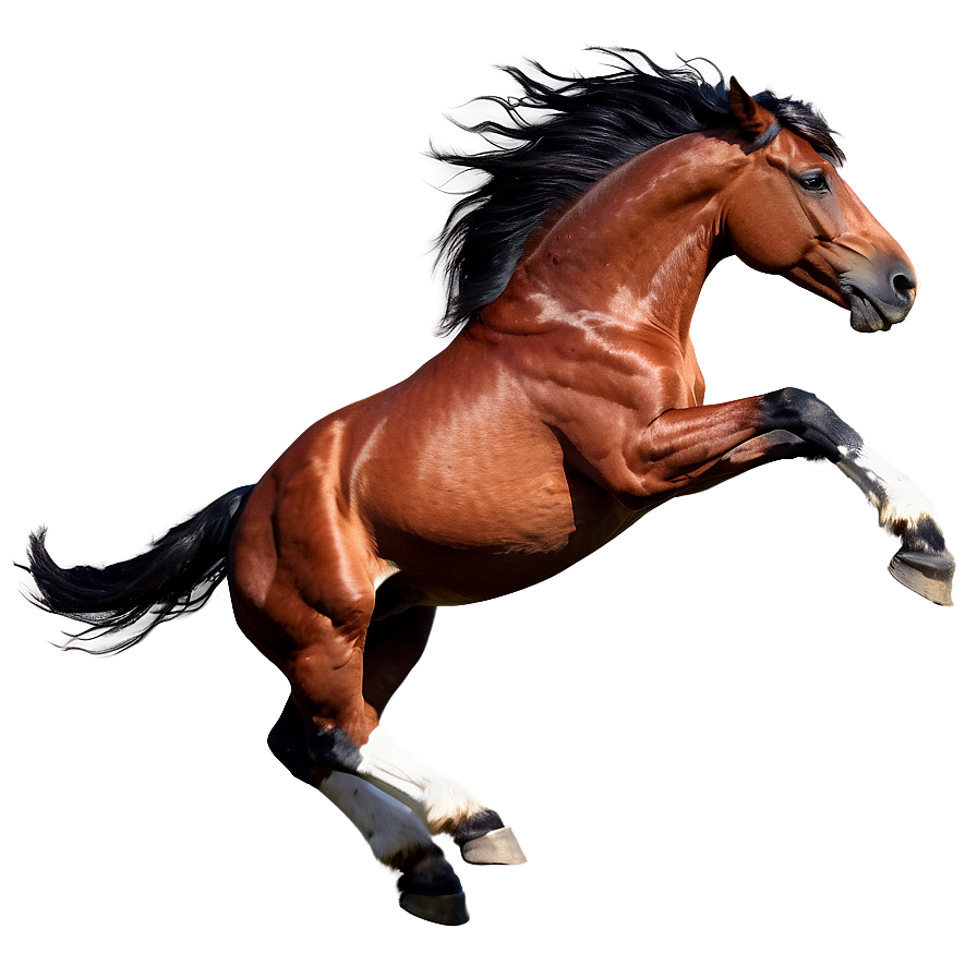 Galloping Horse Png 87 PNG Image