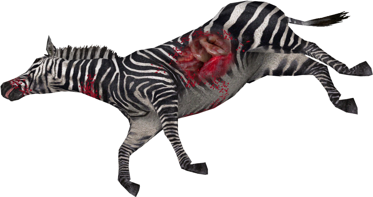 Galloping Zebra Injury PNG Image