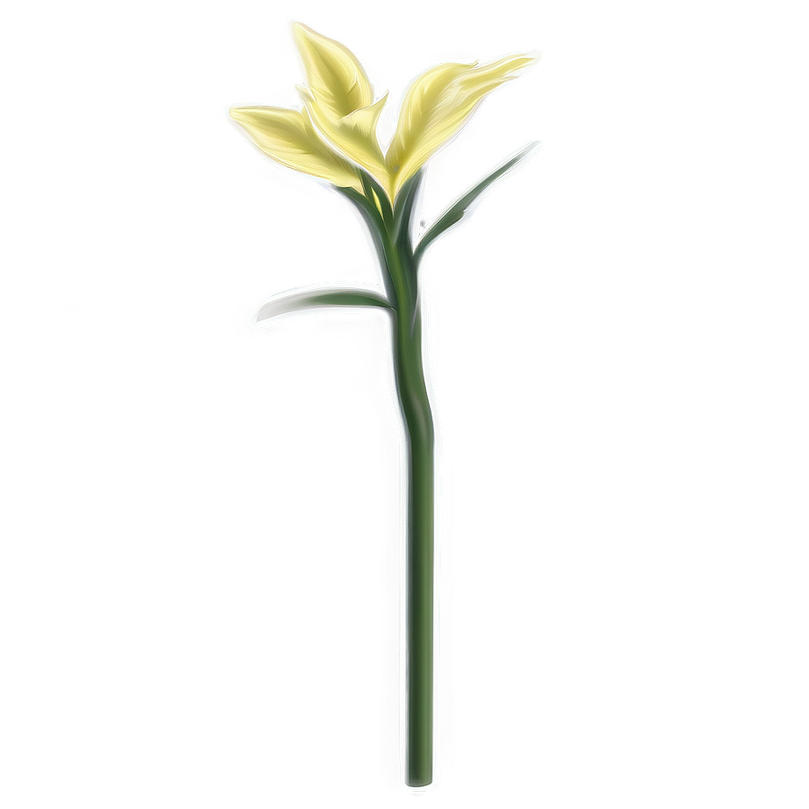 Garden Flower Stem Png 06132024 PNG Image