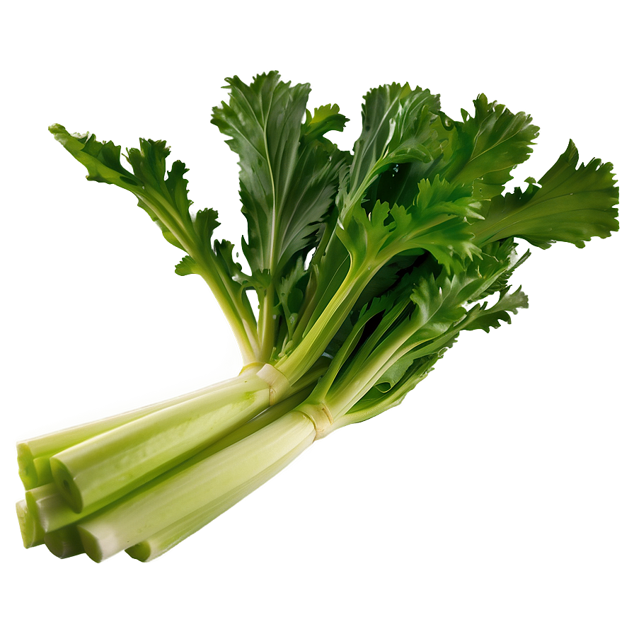 Garden Fresh Celery Png Ifj80 PNG Image