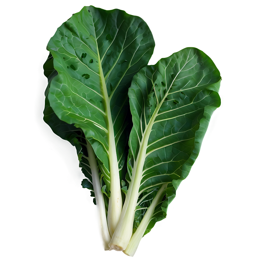 Garden Fresh Collard Greens Png Mhj PNG Image