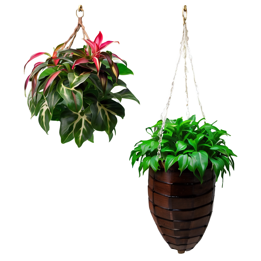 Garden Hanging Plant Png 05252024 PNG Image