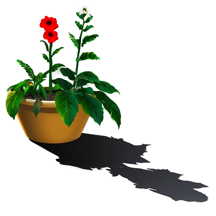 Garden Plant Shadow Png 8 PNG Image