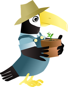 Gardener Toucan Cartoon PNG Image