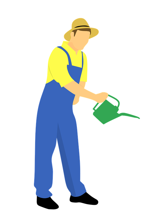 Gardener Watering Plants Vector PNG Image