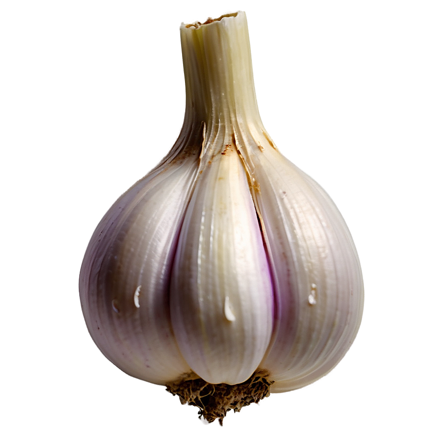 Garlic Bulb Png 05242024 PNG Image