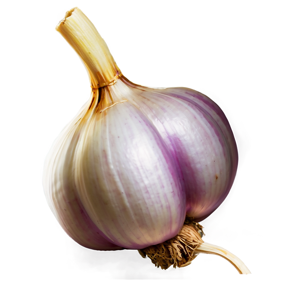 Garlic Festival Png 05242024 PNG Image