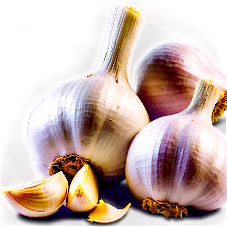 Garlic Festival Png Fjc35 PNG Image