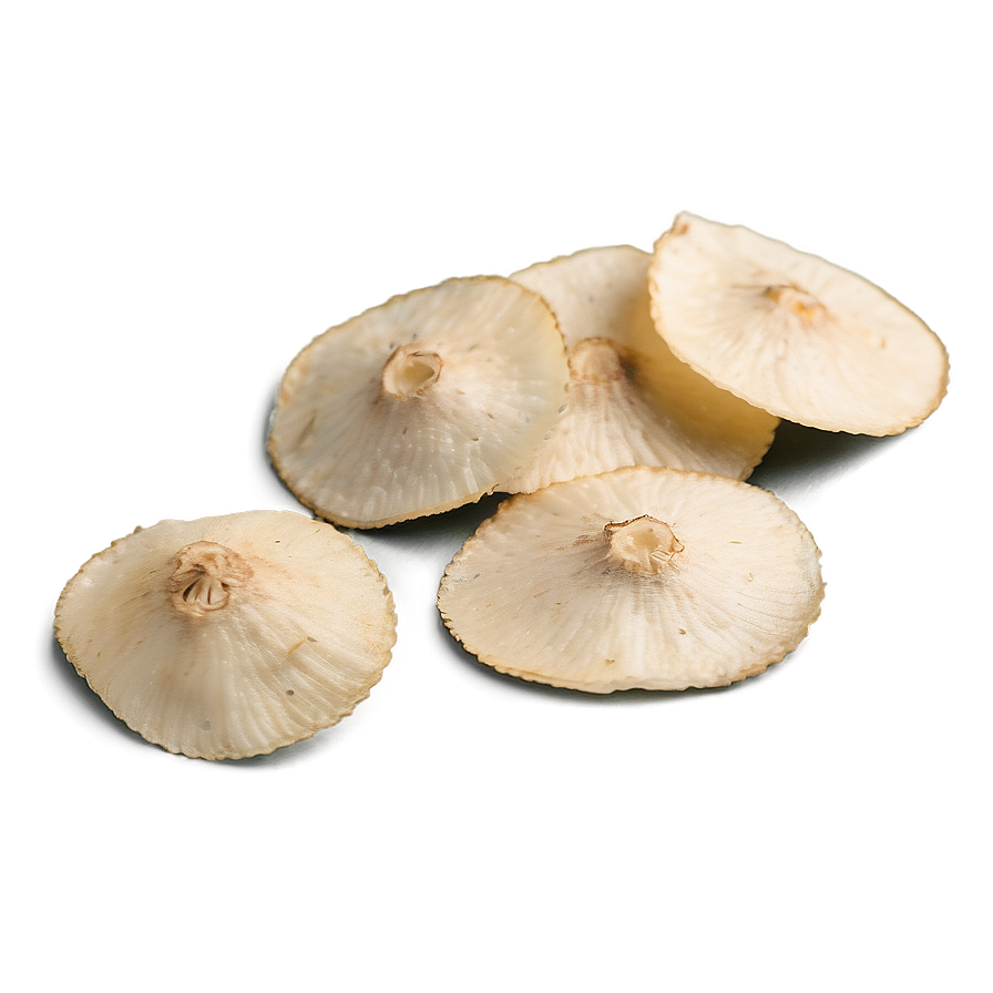 Garlic Herb Chips Png Tkp90 PNG Image