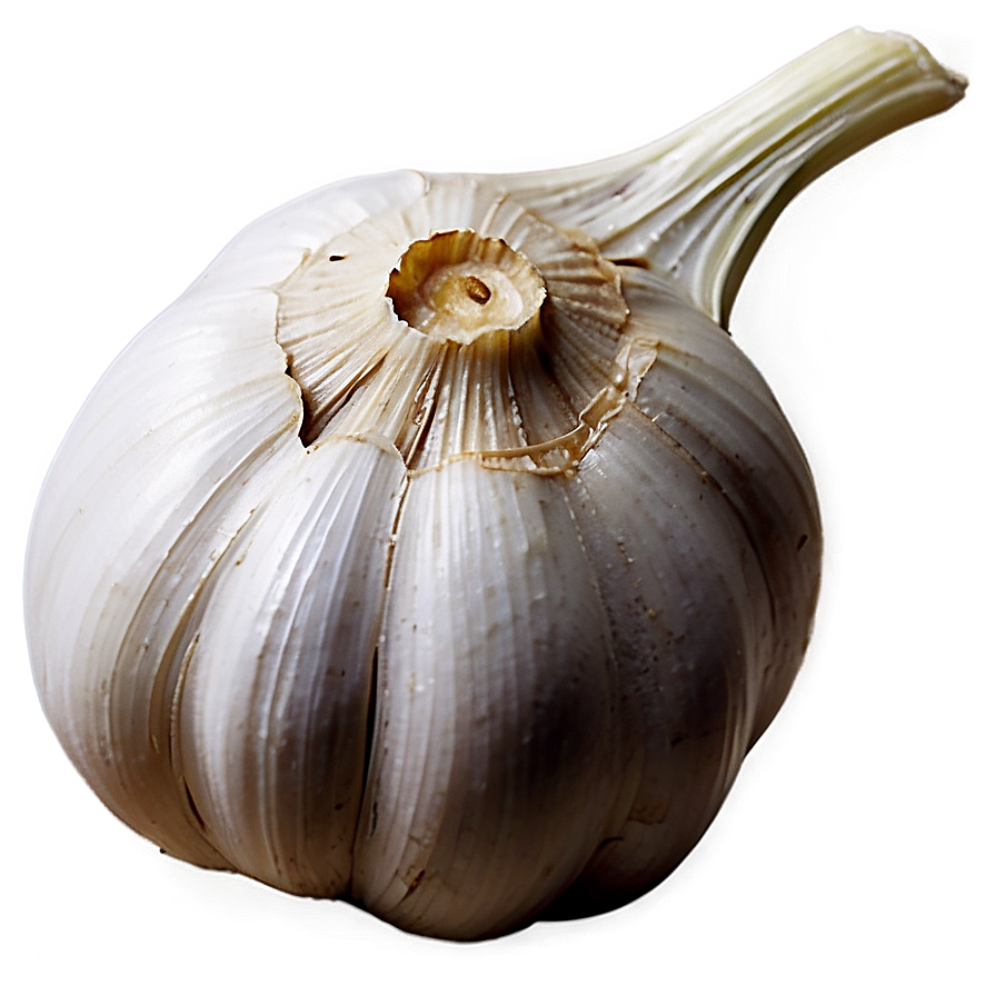 Garlic Theme Png 86 PNG Image