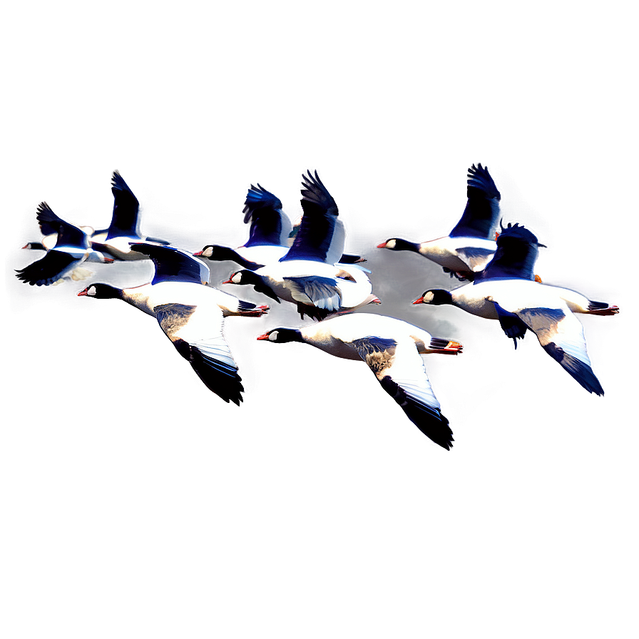 Geese Flock Formation Png Fnx61 PNG Image