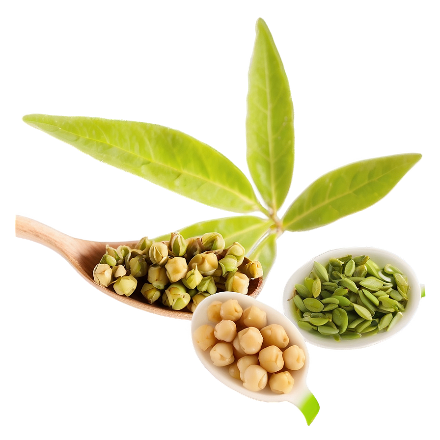 Genmaicha Tea Leaf Png Jvf PNG Image