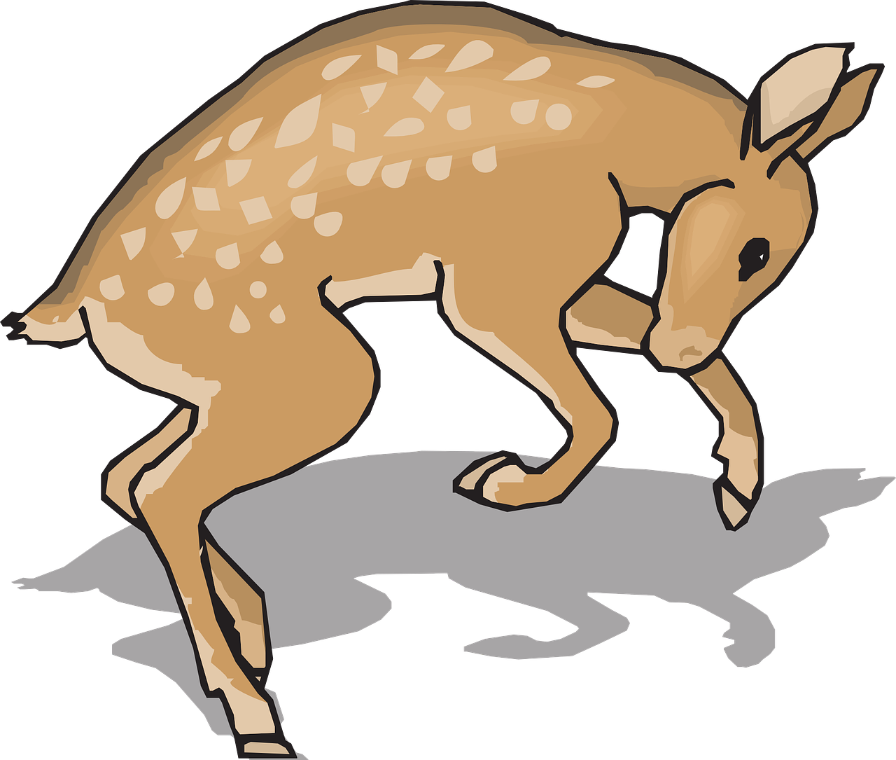 Gentle Fawn Illustration PNG Image