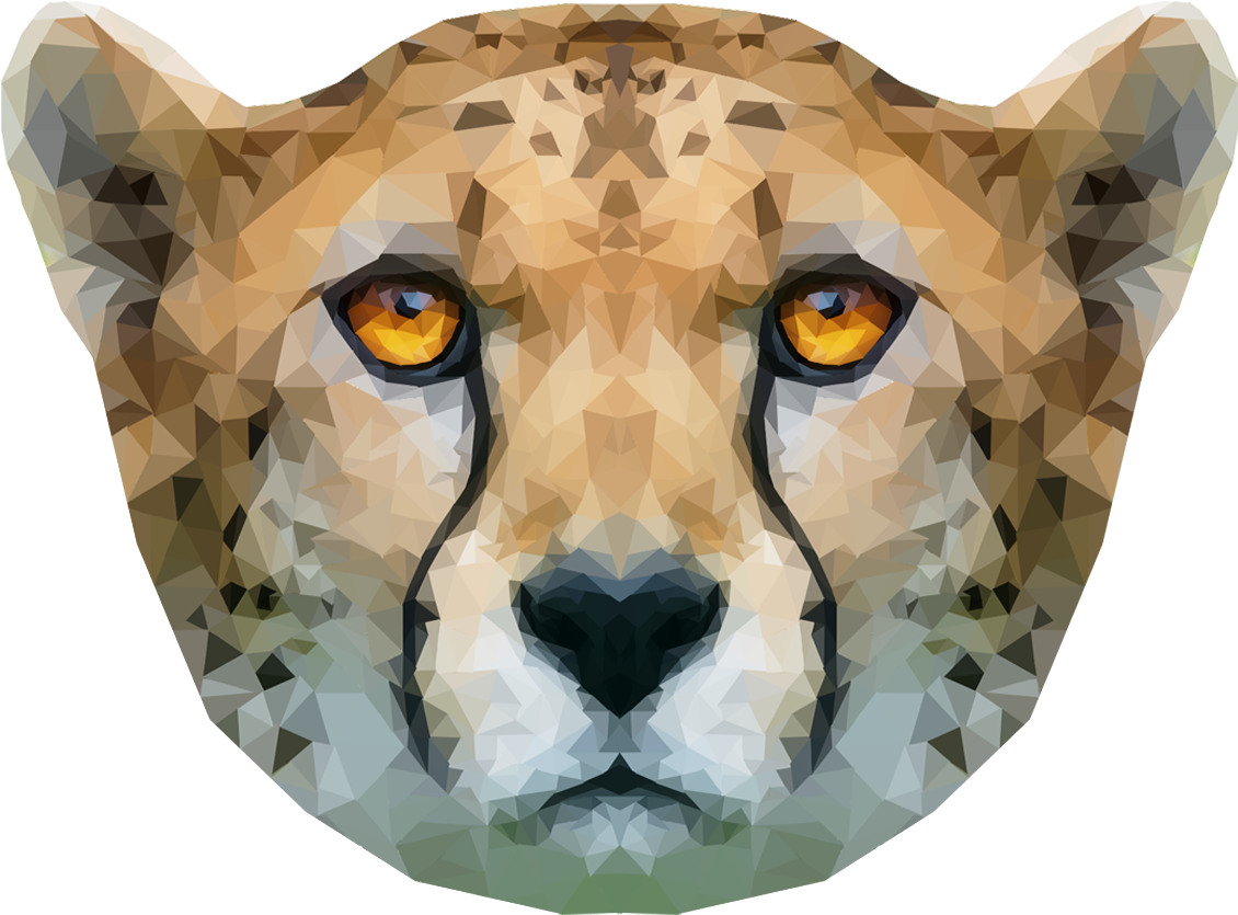 Geometric Cheetah Face Artwork PNG Image