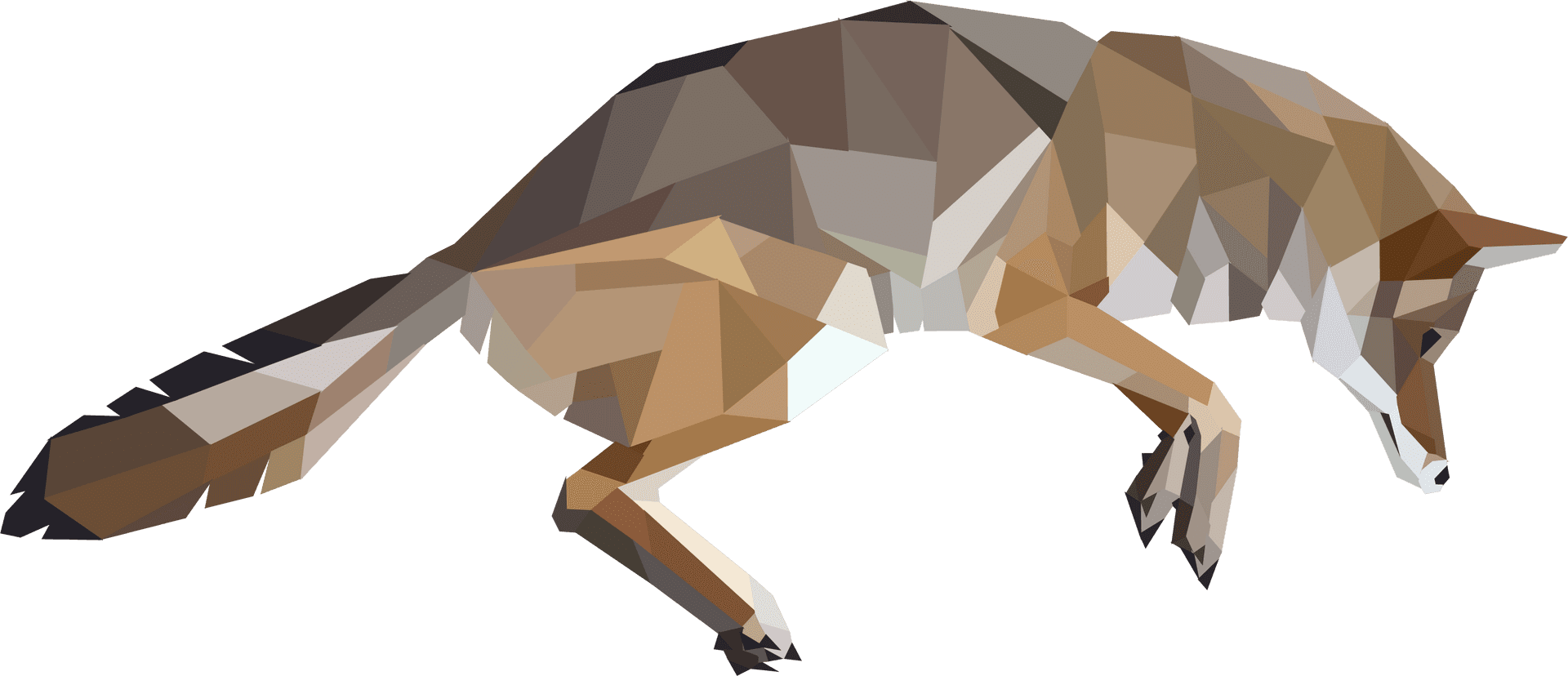 Geometric Coyote Artwork PNG Image