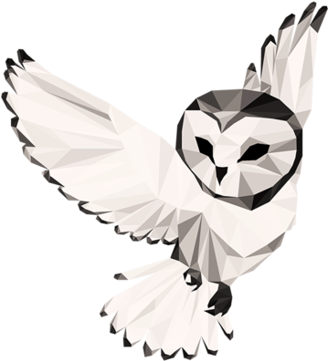 Geometric Owl Artwork PNG Image