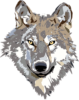 Geometric Wolf Portrait PNG Image