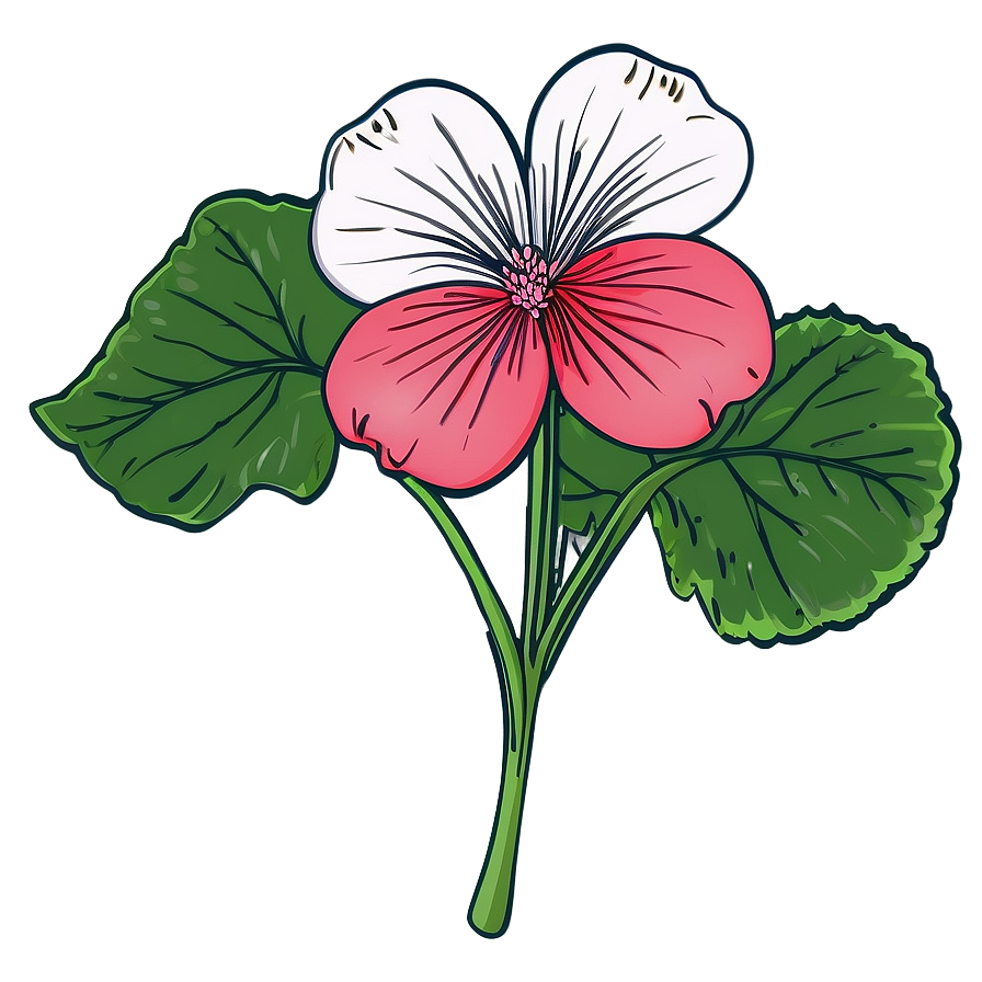 Geranium Flower Sketch Png Bkp PNG Image