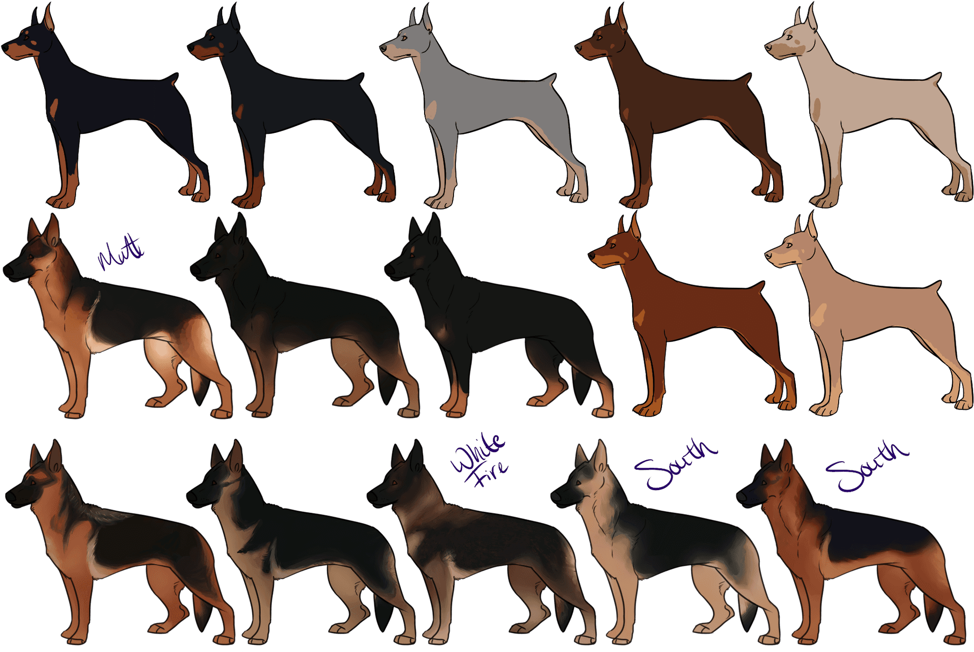 German Shepherd Coat Variations PNG Image