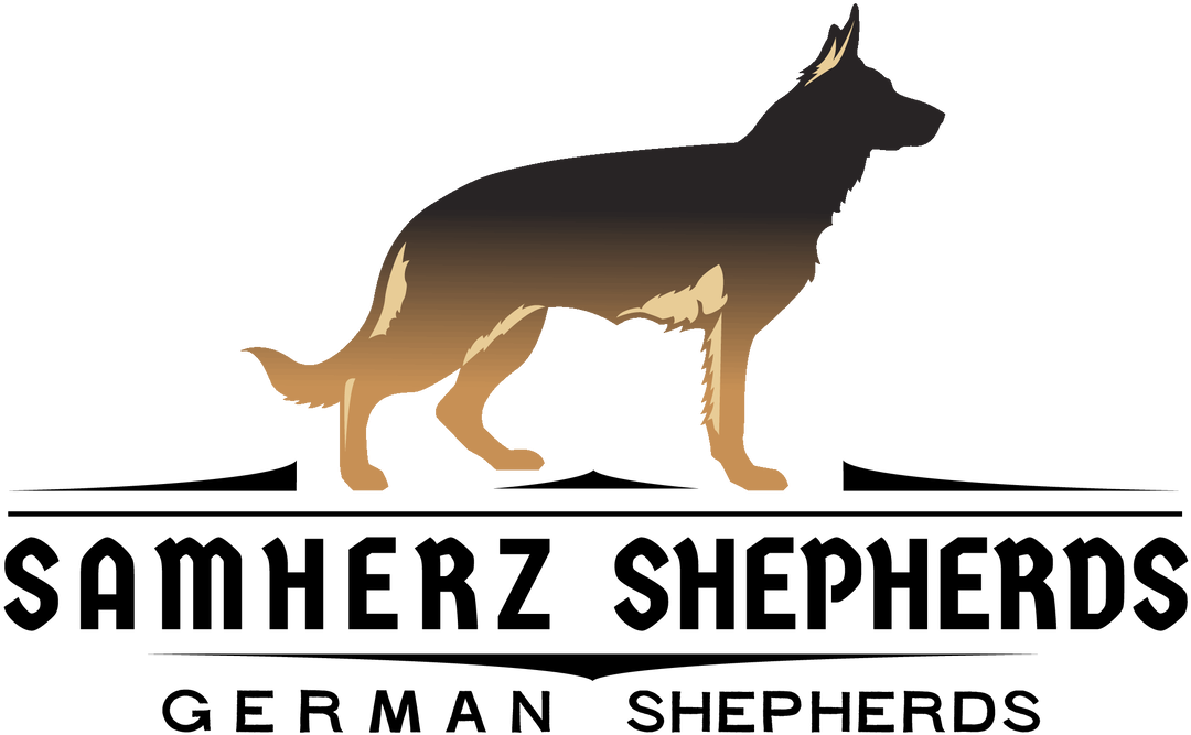 German Shepherd Kennel Logo PNG Image