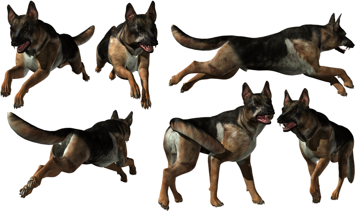 German Shepherd Multiple Poses PNG Image