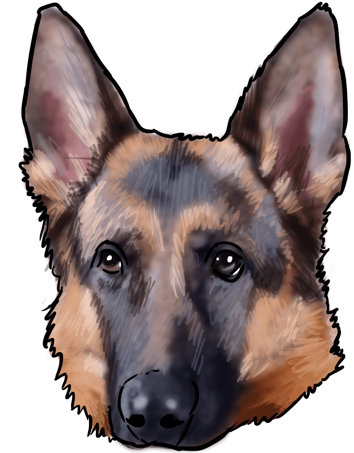 German Shepherd Portrait Illustration PNG Image