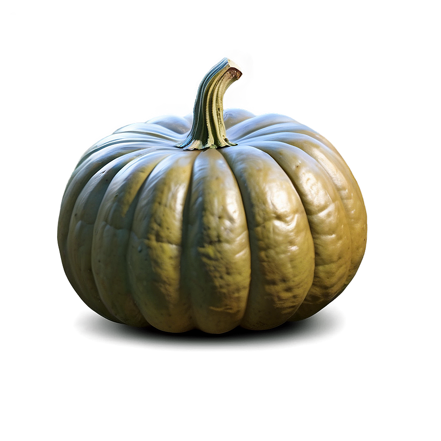 Giant Pumpkin Png 04292024 PNG Image