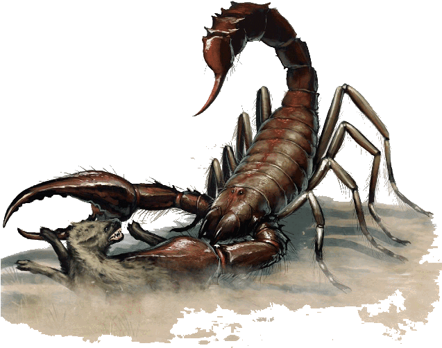 Giant Scorpion Attacking Wolf PNG Image