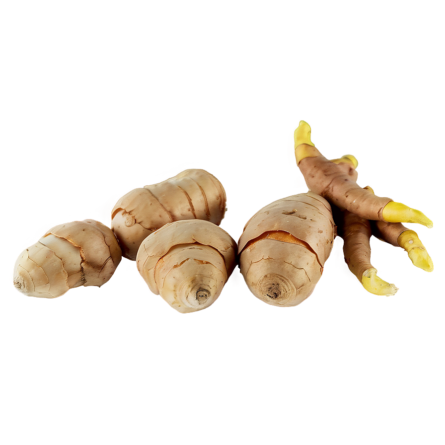 Ginger Zingiber Officinale Png 44 PNG Image