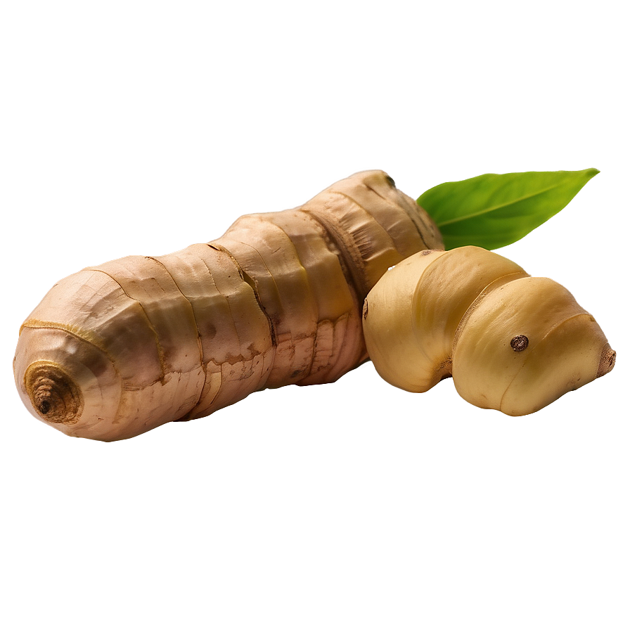 Ginger Zingiber Officinale Png 85 PNG Image