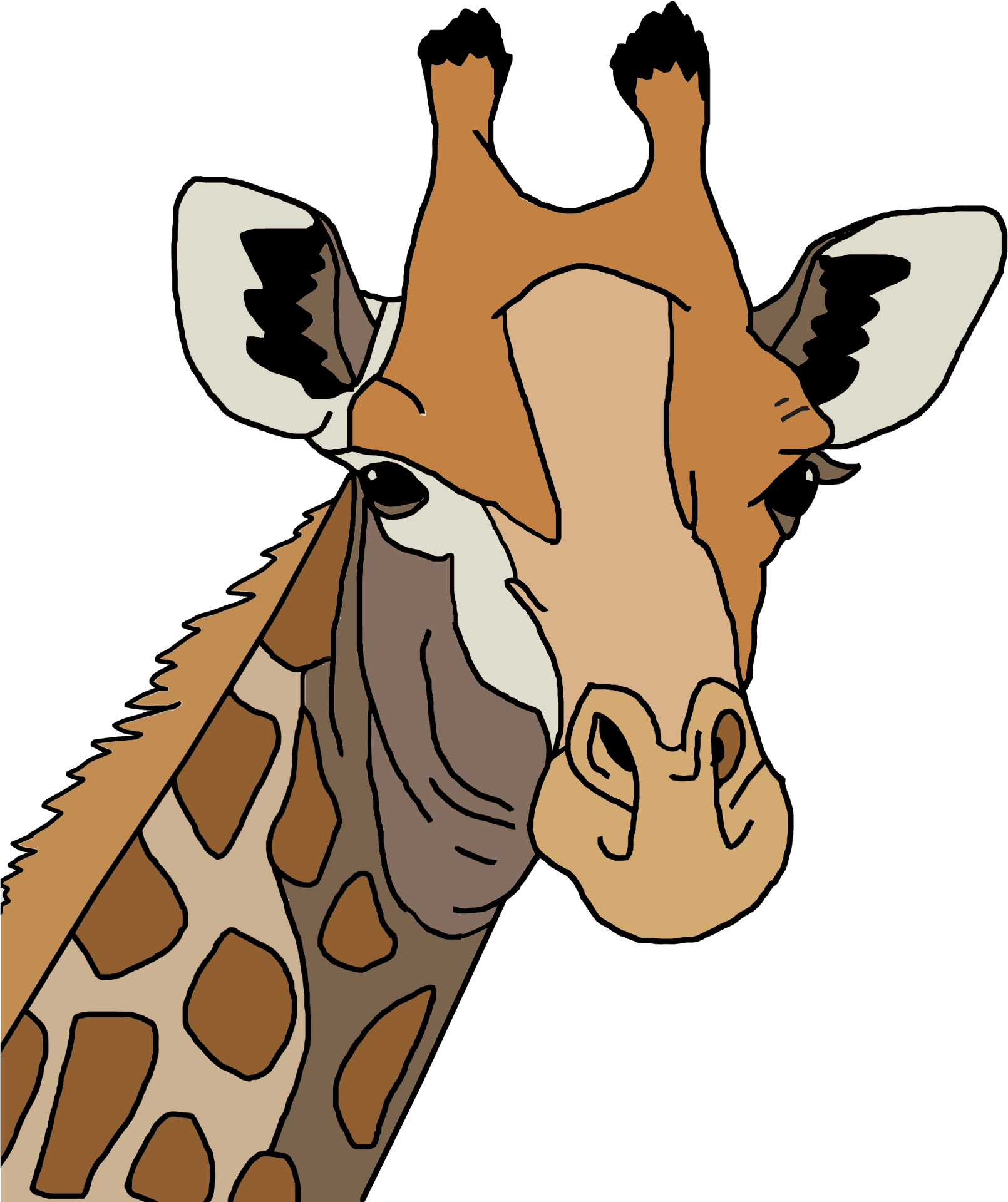 Giraffe Portrait Illustration PNG Image