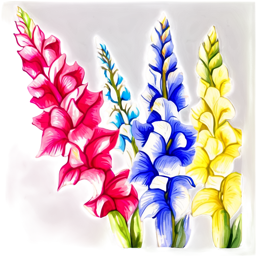 Gladiolus Watercolor Art Png Hcn2 PNG Image