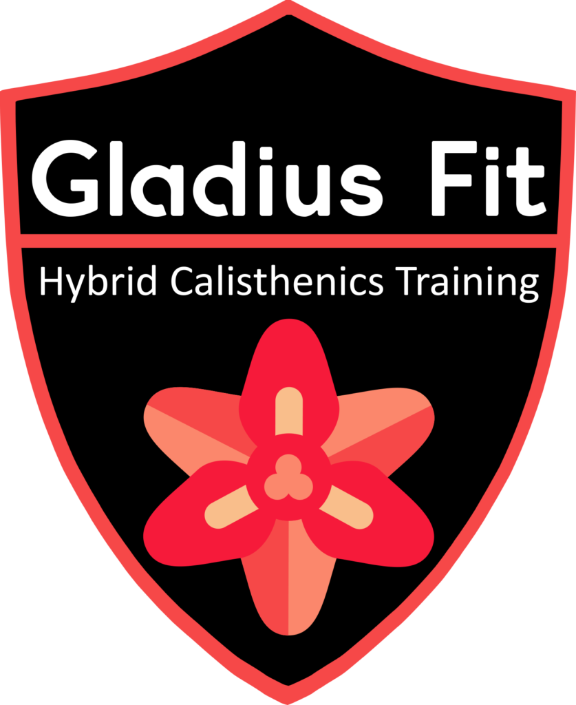 Gladius Fit Hybrid Training Logo PNG Image