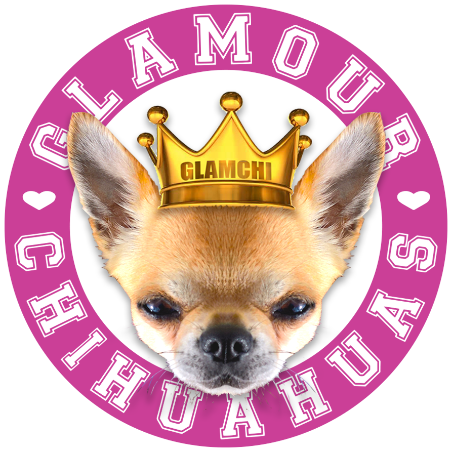 Glamorous Chihuahuawith Crown PNG Image