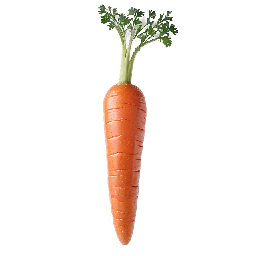 Glazed Carrot Png Qtd PNG Image