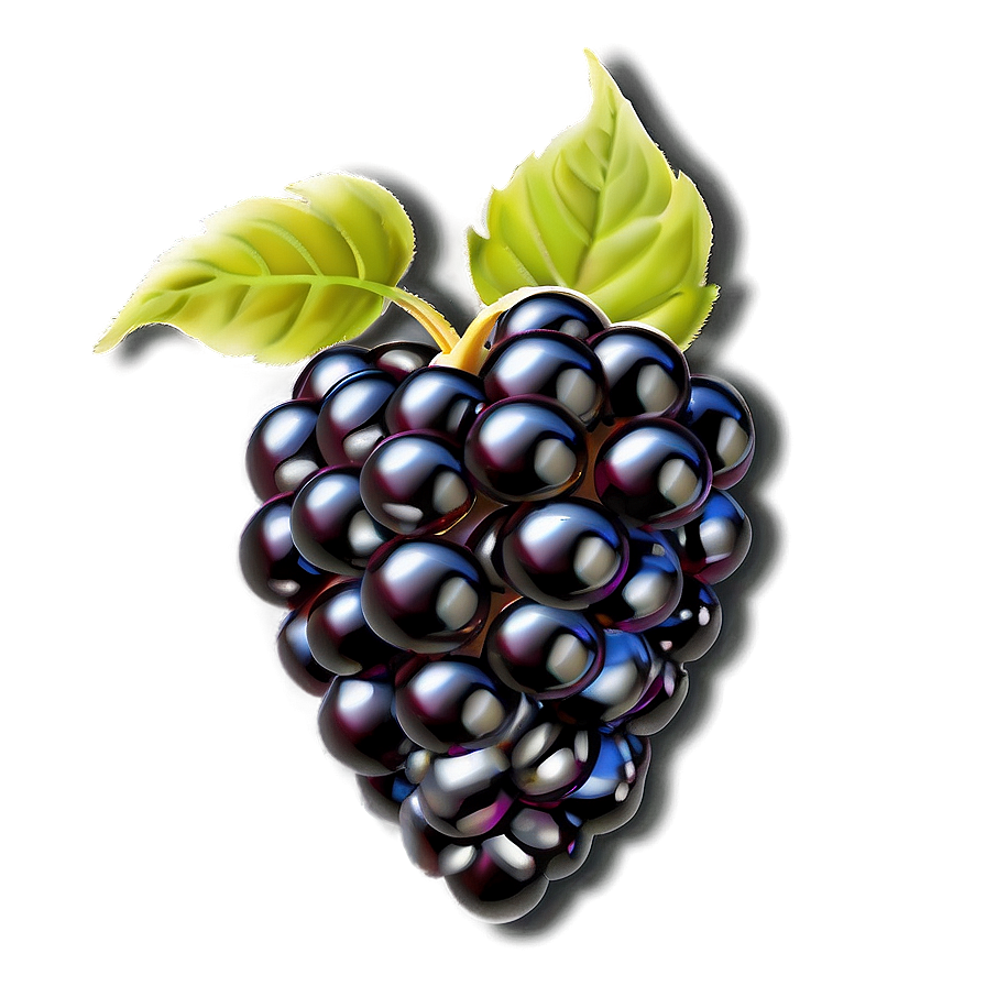 Glistening Blackberry Png 05232024 PNG Image