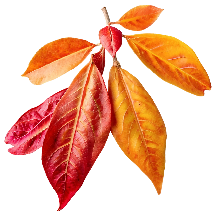 Glistening Fall Leaves Png Cij4 PNG Image