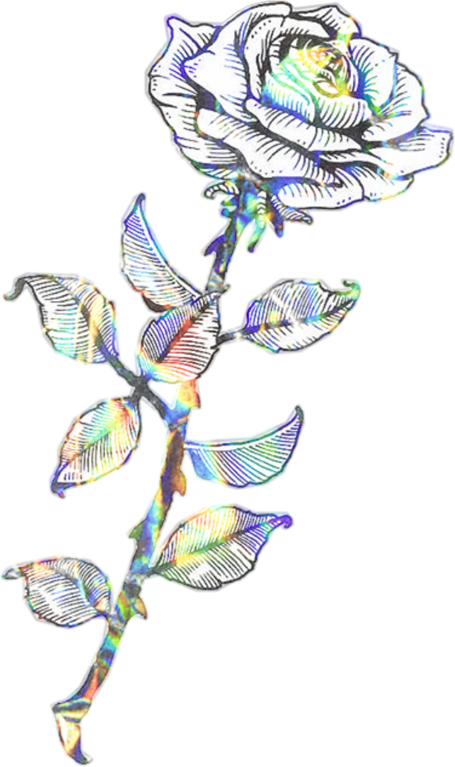 Glitched Rose Artwork PNG Image