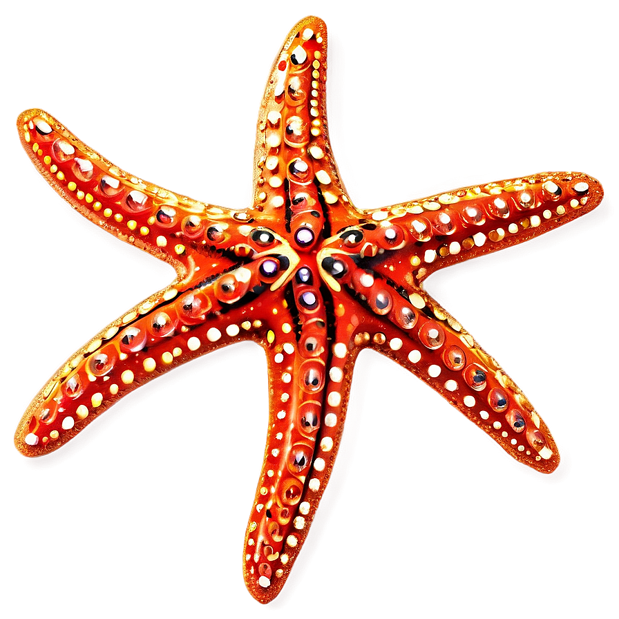 Glittering Starfish Clip Png Eqo94 PNG Image