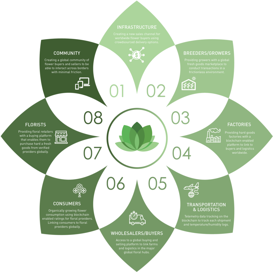 Global Flower Market Ecosystem Infographic PNG Image