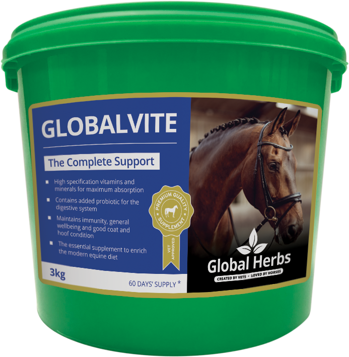 Global Vite Horse Supplement Bucket PNG Image