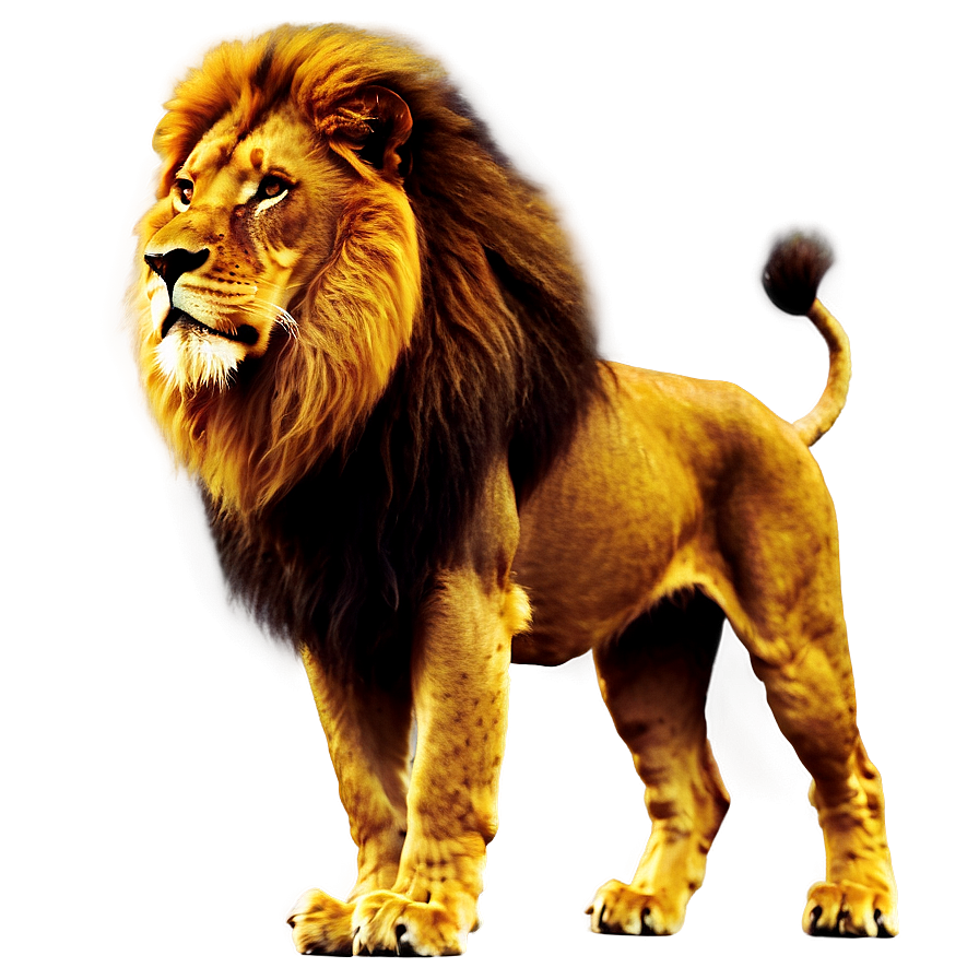 Glorious Lion Of Judah Image Png 40 PNG Image