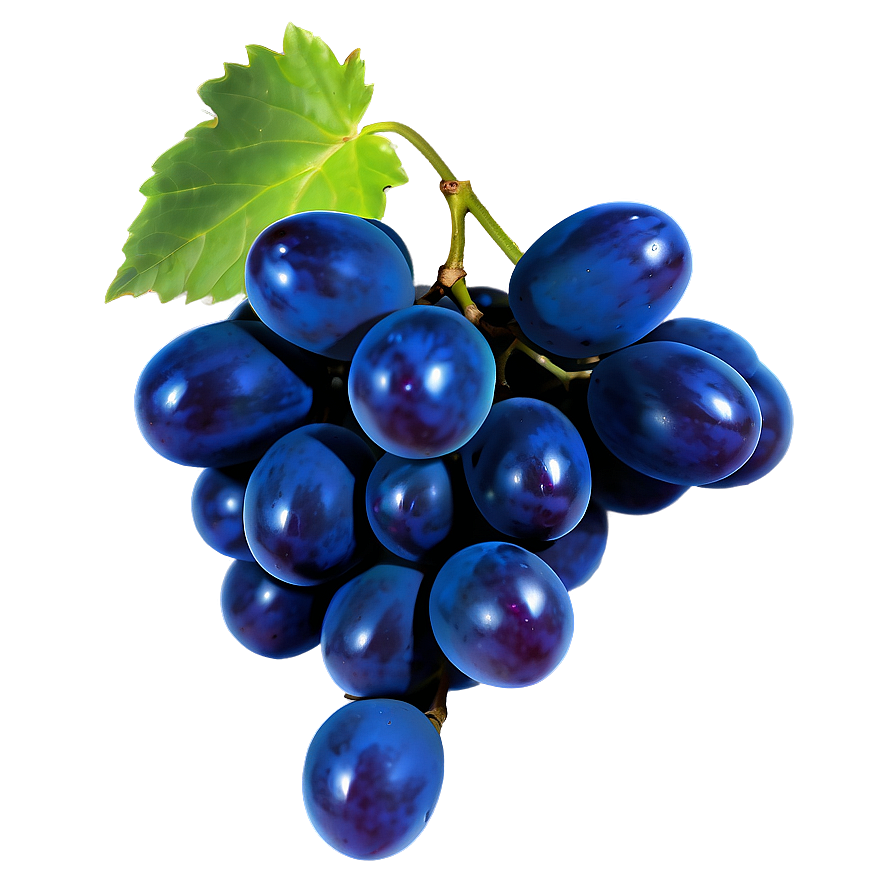 Glossy Shine Grape Png 06292024 PNG Image