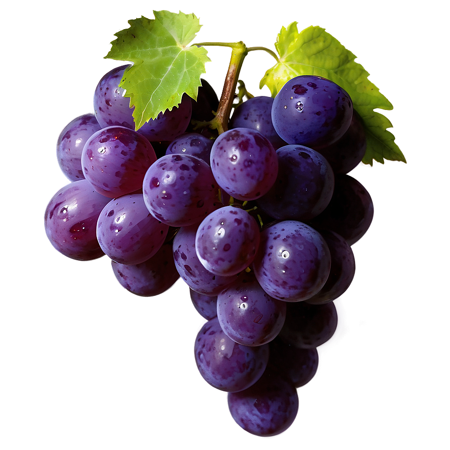 Glossy Shine Grape Png Civ PNG Image