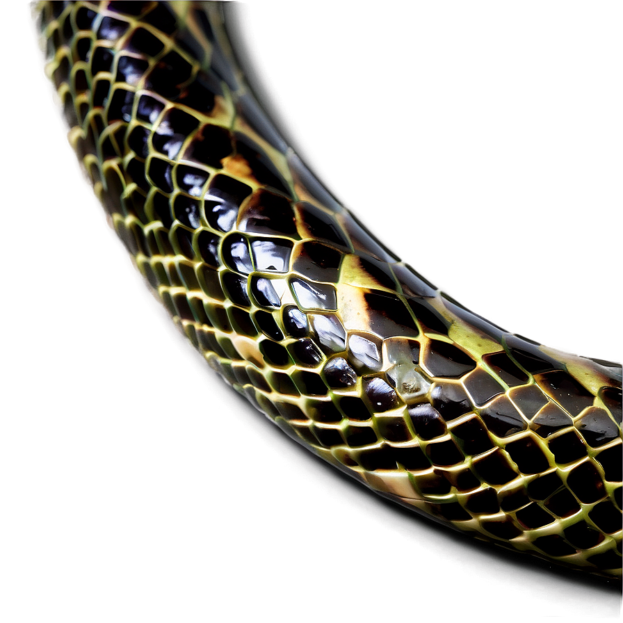 Glossy Snake Skin Png 06272024 PNG Image