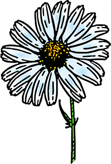 Glowing Daisy Artwork PNG Image